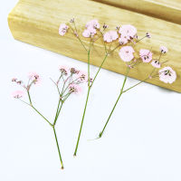 Babysbreath small Real Dried Flower Dry Plants For Candle Epoxy Resin Pendant Necklace Jewelry Making Craft DIY Accessori