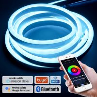 Tuya WiFi RGB LED Neon Strip SMD 5050 220V เทปเชือกอัจฉริยะยืดหยุ่น IP65 กันน้ํา LED Strip Light Rmote Bluetooth APP 1-100m☂