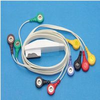 จัดส่งฟรีสำหรับ Mortara และ Quinton H12 12ช่อง emetry ECG Holter สาย10 Leadwires, Snaps End