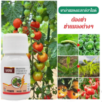 supercomfort สารฆ่าแมลงและไรผสมเอาไว้กันควบคู่ เพื่อป้องกันแมลงแมลงที่เจาะเข้าไปในต้นไม้ผล และผัก