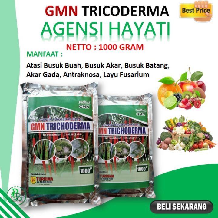 Tricoderma Fungisida Hayati Cabe 1kg Pupuk Pengendali Busuk Buah Busuk Akar Layu Fusarium 