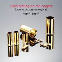 10pcs Gold Plated terminal Cold Pressed Wiring of Pressed Wire Copper Sleeve Needle Tube 0.5mm²4mm² 6mm²