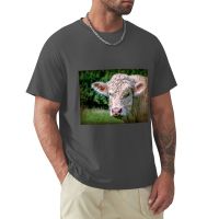 Charolais Bull T-Shirt Sports Fan T-Shirts New Edition T Shirt Hippie Clothes Graphics T Shirt Funny T Shirts For Men