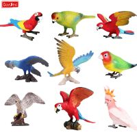 OozDec Parrot Bird Psittaciformes Statue Plastic Realistic Animal Replica Model Toy Decoration Doll Education Gifts for Children