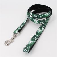 Dog Collar and Leash Set with Bow Tie Pretty Tropical Leaves Metal Buckle Big and Small Dog&amp;Cat Collar Pet Accessories