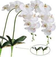 41 "ดอกไม้ Phalaenopsis ไหมเทียม2ชิ้นมี2ใบกล้วยไม้ประดิษฐ์ลำต้นพืชในผีเสื้อปลอมสีขาว