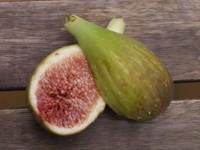 Figs ต้นมะเดื่อฝรั่ง พันธุ์ Longue d Aout อร่อย หวาน หอมมากๆ ต้นสมบูรณ์มาก รากแน่นๆ จัดส่งพร้อมกระถาง 6 นิ้ว ลำต้นสูง 45-50 ซม ต้นไม้แข็งแรงทุกต้น เรารับประกันจัดส่งห่ออย่างดี จัดส่งสินค้าตามรูป