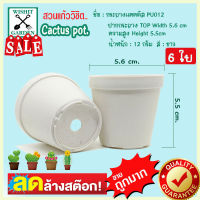 กระถาง PU012 ขนาด 2.2 นิ้ว สีขาว 6 ใบ เนื้อพลาสติกแน่นหนาทนทาน ราคาถูก กระถางแคคตัส กระถางกระบองเพชร