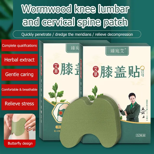 Wormwood Knee Lumbar and Cervical Spine Patches Lazada