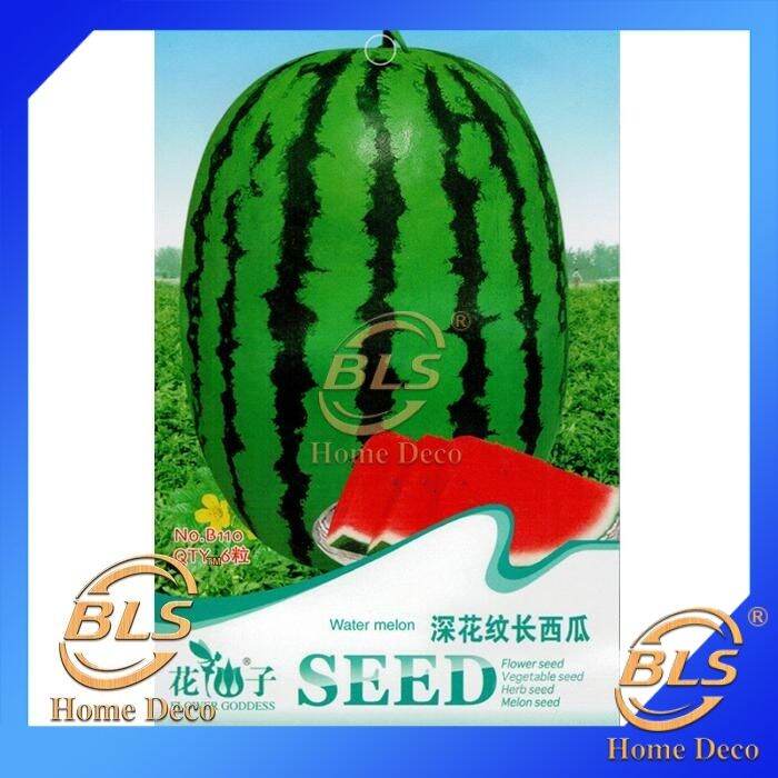 【EXPIRED】BIJI BENIH B110 WATER MELON FLOWER GODDESS VEGETABLE FLOWER