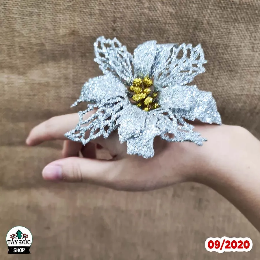 Set 3 Cái] Hoa Trạng Nguyên Nhỏ Phủ Kim Tuyến Trang Trí Noel, Sinh Nhật,  Phụ Kiện Chụp Ảnh,.... | Lazada.Vn