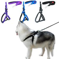 Dog Padded Harness Leash Reflective Nylon Harness Leash for Large Dogs Running Walk Outdoor Sports