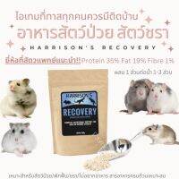 [Paws-sible] Harrisons Recovery อาหารหนูป่วย หนูชรา