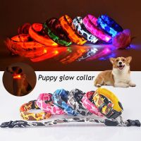 ♚ USB Rechargeable Dog Collar Light Luminous Flashing Glowing Bright Nylon Reflective LED Dog Collar Night Safety For Cats Puppy