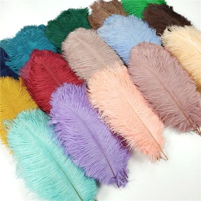 10Pcs/Lot Colorful Ostrich Feather Centerpieces for Wedding Table Handicraft Accessories Dream Catcher Plume Carnival Decoration