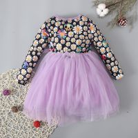 9 Months to 4 Years Old Children Halloween Dress Flower Skull Cute Print Stitching Round Neck Long Sleeve Purple Mesh Skirt Girl  by Hs2023