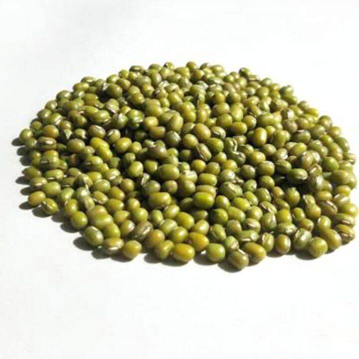 Monggo Beans, Green Mung Beans, Kintab 500 grams | Lazada PH