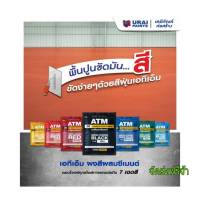 สีฝุ่นผสมปูนซีเมนต์ สีฝุ่นATM ขนาด 1 กิโลกรัม