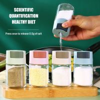 hotx【DT】 Seasoning Bottle 0.5g Metering Shaker Push Type Dispenser Spice Pepper