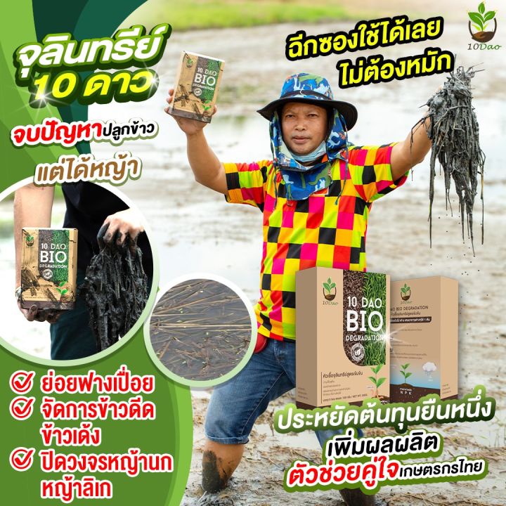 ซื้อ1แถม1-10ดาวไบโอ-ส่งฟรี-10ดาวสูตรใหม่-1ซอง-แถมฟรี-10ดาวดูโอ้-1ซอง-10ดาวจุลินทรีย์-ไบโอจุลินทรีย์-หัวเชื้อจุลินทรีย์-จัดการข้าวดีด-ข้าวเด้ง