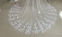 Romantic One Layer 3 Meters Long and 3 Meters Wide Lace Wedding Veil with Appliques Bridal Veils with Comb