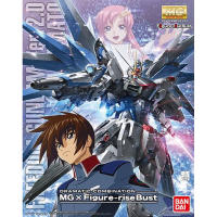 MG BANDAI ZGMF-X10A Gundam Freedom 2.0 x Figure Rise Bust Kira Yamato