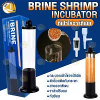 ที่เป่าไข่อาร์ทีเมีย Brine Shrimp Incubator ฟักอาร์ทิเมีย