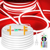 50M 100M LED Neon Strip Lights 220V RGB Silicone Tape 5050 IP68 IR Waterproof Controller 1500W for Outdoor Garden Decoration