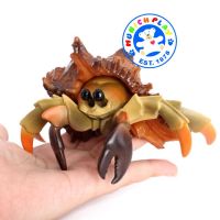 Munich Play - โมเดล Hermit Crab ปูเสฉวน แหลมเขียว ขนาด 12.00 CM (จากหาดใหญ่)