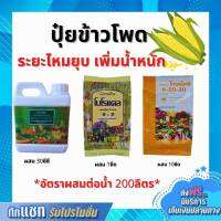 ปุ๋ย ปุ๋ยข้าวโพด ระยะไหมยุบ เพิ่มน้ำหนัก ปุ๋ยกิฟฟารีน เกรทกรีน โบโรแคล ปุ๋ยเกล็ด 6-20-30 กิฟฟารีนของแท้ Giffarine