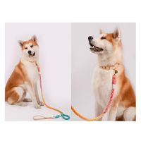 1 PCS Colorful Leash Round Cotton Dog Leash Cute Rainbow Pet Long Leash Outdoor Dog Training Leash Nylon