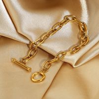 Fashion Classic Gold Bracelet Paper Clip Bracelet OT Buckle Gold Plated Stainless Steel Oval Chain Bracelet Women