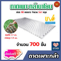 **ส่งฟรี**ถาดเพาะกล้านาโยน 561 หลุม  จำนวน 700 ชิ้น ถาดเพาะต้นข้าว ถาดเพาะนาโยน เพาะกล้าข้าว ถาดนาโยน ถาดเพาะกล้า