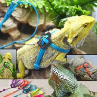 Good Lacertid Traction Rope Confinement Pet Leashes Set Comfortable No Constraint Unbreakable Lizard Harness