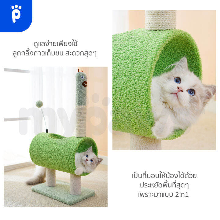 my-paws-คอนโดแมวผ้า-สีสันสดใส-เสาลับเล็บแมวสีน่ารัก-เสาลับเล็บพร้อมที่นอน