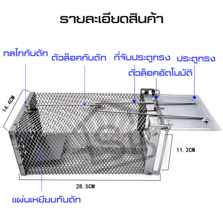 อุปกรณ์กับดักหนู-กรงดักหนูแบบสปริง-กรงดักหนู-แข็งแรง-ทนทาน-กับดักหนู-ที่ดักหนู-กรงหนู-กรงดักหนู