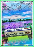 ยาสีฟัน กาโนเฟร็ช  GANO  FRESH  ผสมเห็ดหลินจือ น้ำหนักสุทธิ 150 กรัม จำนวน 1 กล่อง