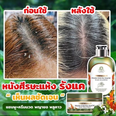 📌ส่งเร็ว•ของแท้📌Anyaa แชมพู + ทรีทเม้นต์ แก้คัน ผมร่วง เชื้อราบนหนังศรีษะ รังแค สะเก็ดเงิน ของแท้ส่งตรงจากโรงงาน