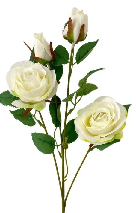 Hoa Hồng - Cùng chiêm ngưỡng vẻ đẹp kiêu sa của những bông hoa Hồng quyến rũ, lãng mạn và đầy cảm hứng. Từng cánh hoa mềm mại và thơm ngát sẽ thổi bay mọi căng thẳng trong cuộc sống của bạn.