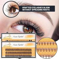 False Eyelashes Are Natural And Realistic 10d Single Cluster 10 Hot Melt Hairs Per Plant Grafted False Eyelashes Eye Makeup