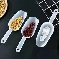 3PCS Mini Plastic Ice Shovel Transparent Small Shovel Flour Food Candy Ice Cream Spoon Measuring Spoons Shovels Kitchen Tools