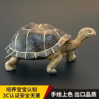 Solid childrens simulation animal toy model set Galapagos tortoise cognitive gift decoration