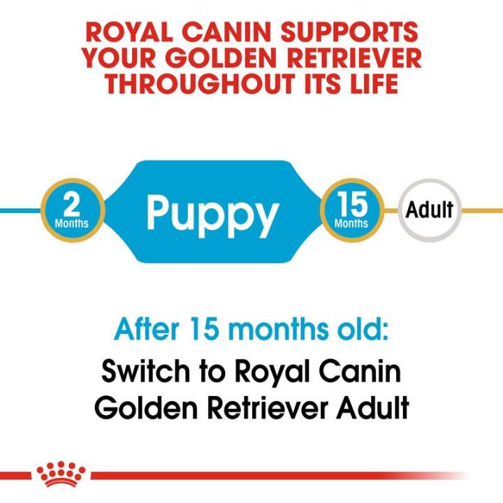 royal-canin-golden-retriever-puppy-โรยัล-คานิน-อาหารเม็ดลูกสุนัข-พันธุ์โกลเด้น-รีทรีฟเวอร์-อายุต่ำกว่า-15-เดือน-กดเลือกขนาดได้-dry-dog-food