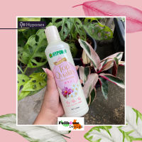 HYPONEX EXCLUSIVE FOR ORCHIDS ปุ๋ยน้ำสำหรับกล้วยไม้โดยเฉพาะสูตร 6-6-6สูตรสำหรับกล้วยไม้ ไม้ดอก โดยเฉพาะ {{พร้อมส่ง}} สำหรับบำรุงไม้ดอก