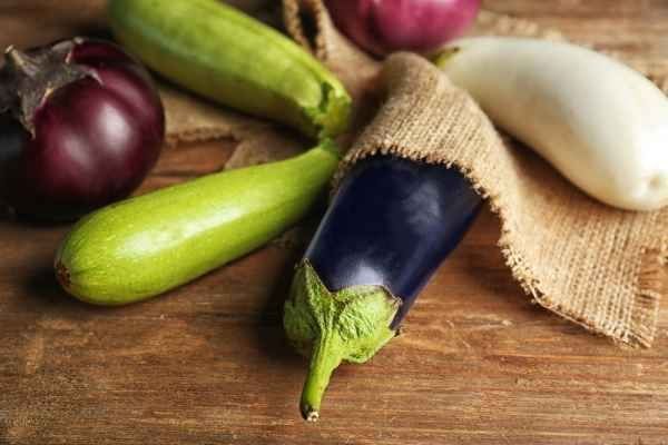 มะเขือยาว-aubergine-long-eggplants-seeds-มะเขือยาวลูกผสม-มะเขือยาวม่วงลิงมังกี้-มะเขือยาวฟาร์มเมอร์ลอง-มะเขือยาวซาไก-มะเขือยาว