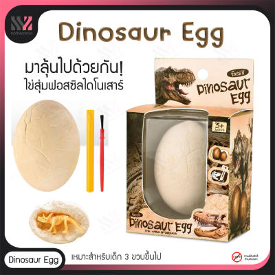 ไข่สุ่ม มหาสนุก Dinosaur Egg พร้อมอุปกรณ์ขุดเจาะ ฝึกการเป็นนักล่าสมบัติ ตามหาซากฟอสซิล สุ่มของเล่น ของสะสม ลุ้นของเล่น ไดโนเสาร์ ไข่สุ่ม