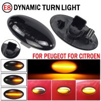 For Peugeot 307 206 207 407 107 607 1007 Partner Expert Side Marker Light Sequential Blinker Lamp Led Dynamic Turn Signal Light