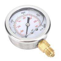 【YD】 TS-PGG604-700bar 1/4BSP Y60 Radial Pressure Gauge for Household