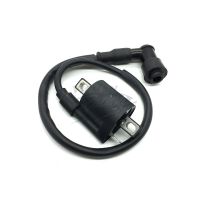 、‘【； Motorcycle Ignition Coil For 50Cc 125Cc 150Cc 200Cc D8TC CG ZJ High Pressure Coil ATV Quad Dirt Pit Bike