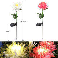 Solar Chrysanthemum Light Outdoor Garden Simulation Flower Grass Lights IP65 Waterproof Garden Floor Lamp Garden Decorative Lamp